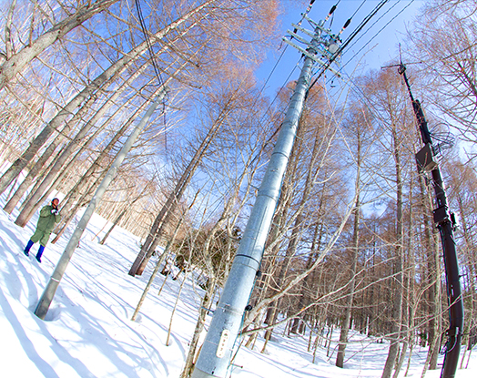 志賀高原の配電線は、ほとんどが森林原野の中を通る