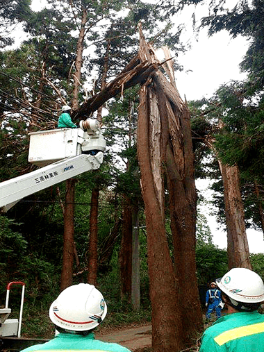 東北電力の応援部隊