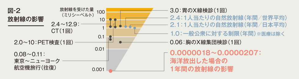 図-2 放射線の影響