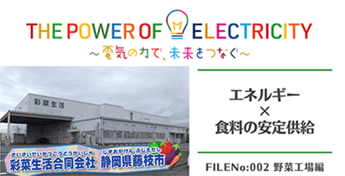 エネルギー×食料の安定供給 ～野菜工場～