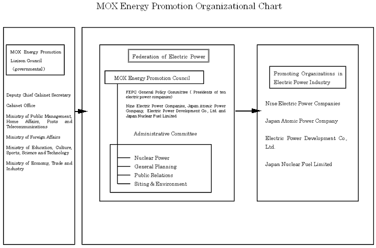 Mox Energy Promotion Organizational Chart