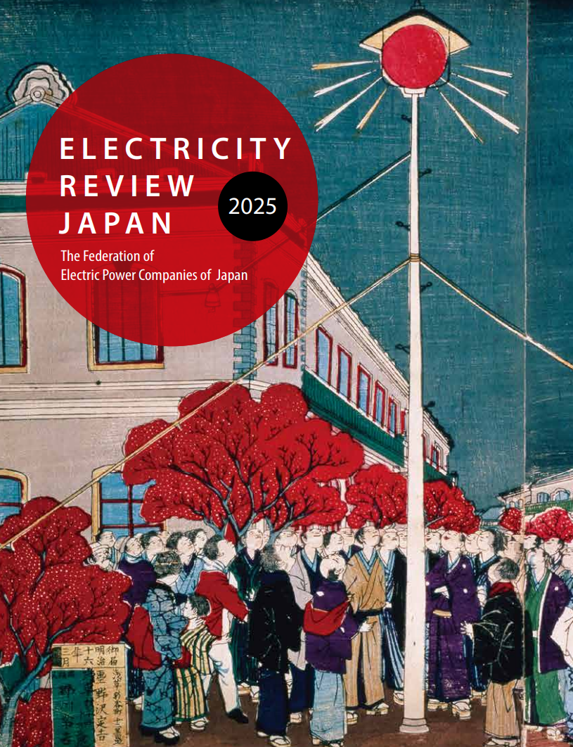 ELECTRICITY REVIEW JAPAN