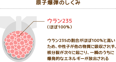 原子爆弾のしくみ　ウラン235（ほぼ100%）　ウラン235の割合がほぼ100%と高いため、中性子が他の物質に吸収されず、核分裂が次々に起こり、一瞬のうちに爆発的なエネルギーが放出される