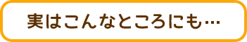 実はこんなところにも…