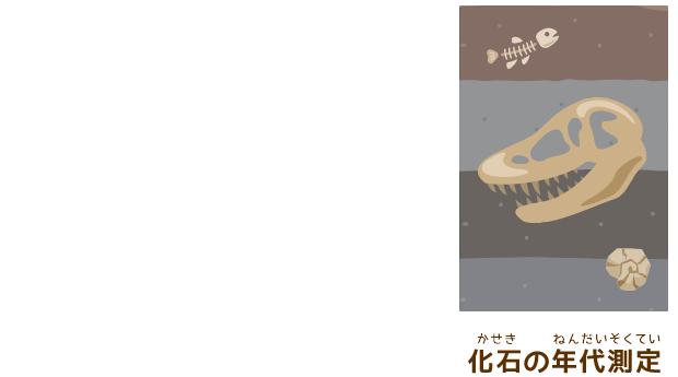 化石の年代測定