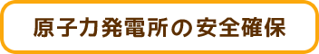 原子力発電所の安全確保