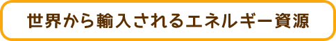 世界から輸入されるエネルギー資源