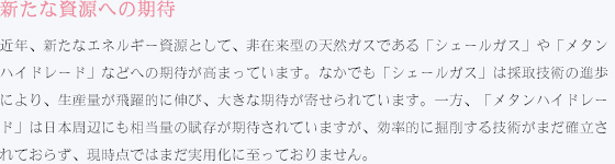 新たな資源への期待