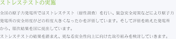 ストレステストの実施